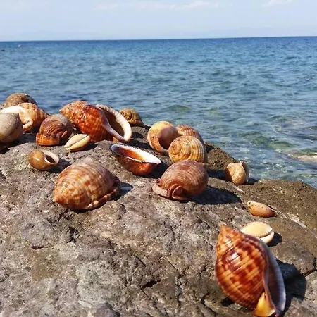 Κατοικία Πανόραμα, Πραγματευτή Λεωνιδίου, Τ.Κ.22300 Leonidio Exterior photo