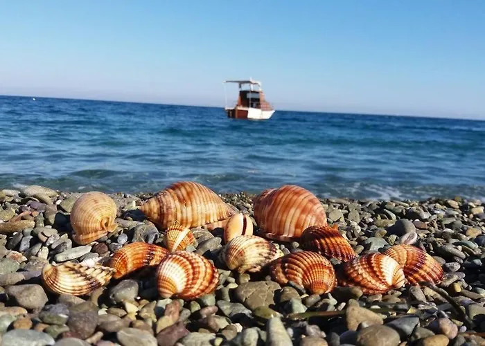 Κατοικία Πανόραμα, Πραγματευτή Λεωνιδίου, Τ.Κ.22300