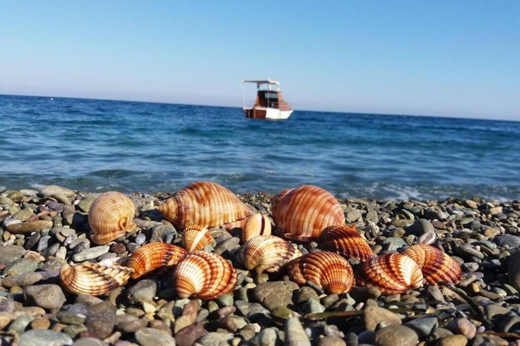 Holiday home πανόραμα, πραγματευτή λεωνιδίου, τ.κ.22300 Leonidio