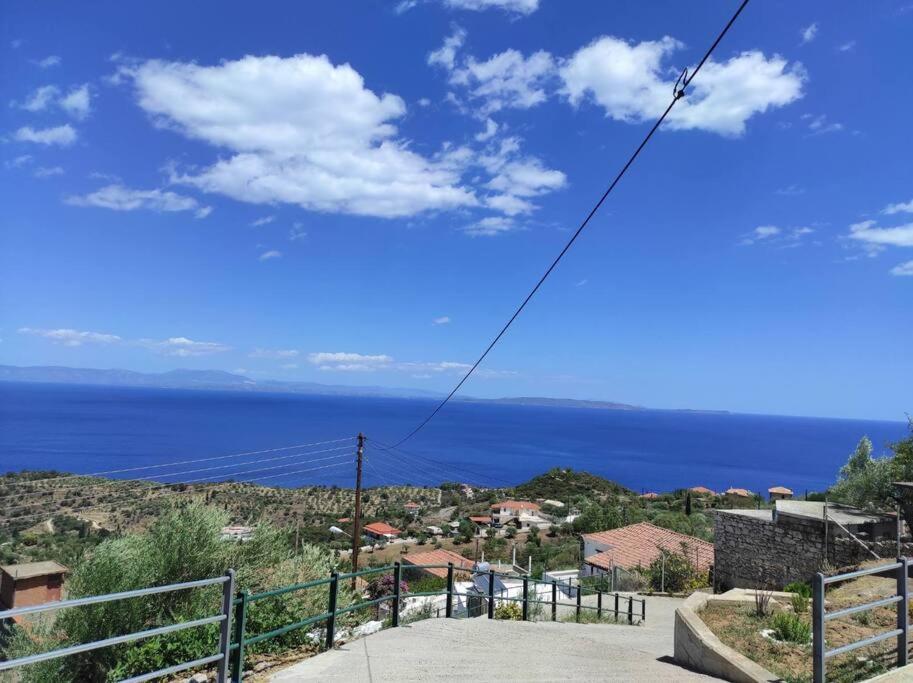 πανόραμα, πραγματευτή λεωνιδίου, τ.κ.22300 * Leonidio