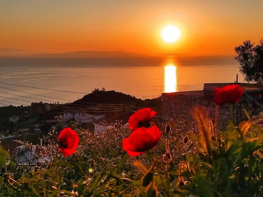 πανόραμα, πραγματευτή λεωνιδίου, τ.κ.22300 *