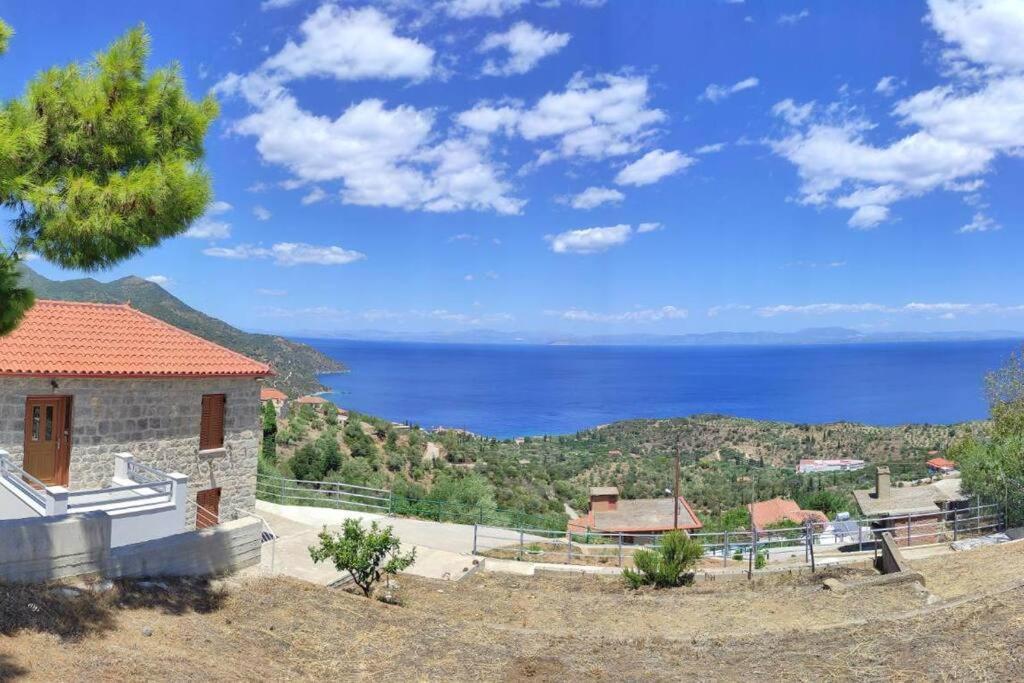 πανόραμα, πραγματευτή λεωνιδίου, τ.κ.22300