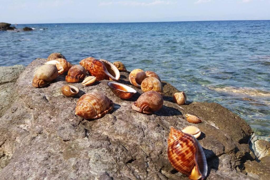 πανόραμα, πραγματευτή λεωνιδίου, τ.κ.22300 Prázdninový dům Leonídion