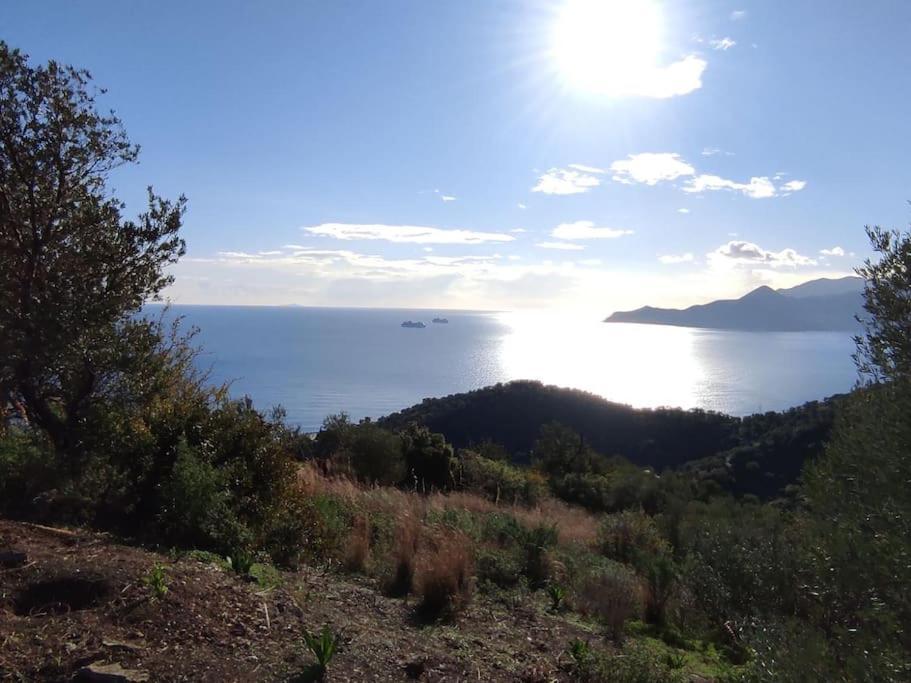 πανόραμα, πραγματευτή λεωνιδίου, τ.κ.22300 *