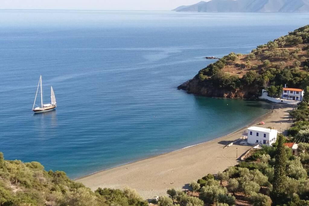 πανόραμα, πραγματευτή λεωνιδίου, τ.κ.22300 * Leonidio